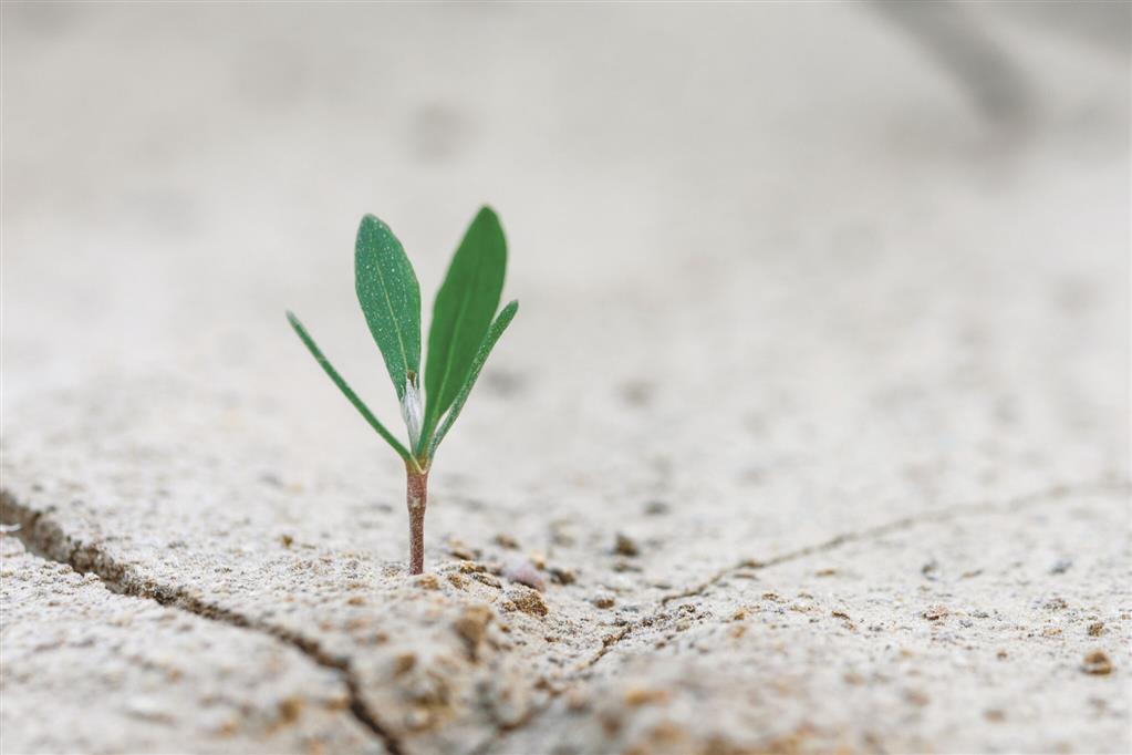 On Mission Together: March – April 2019