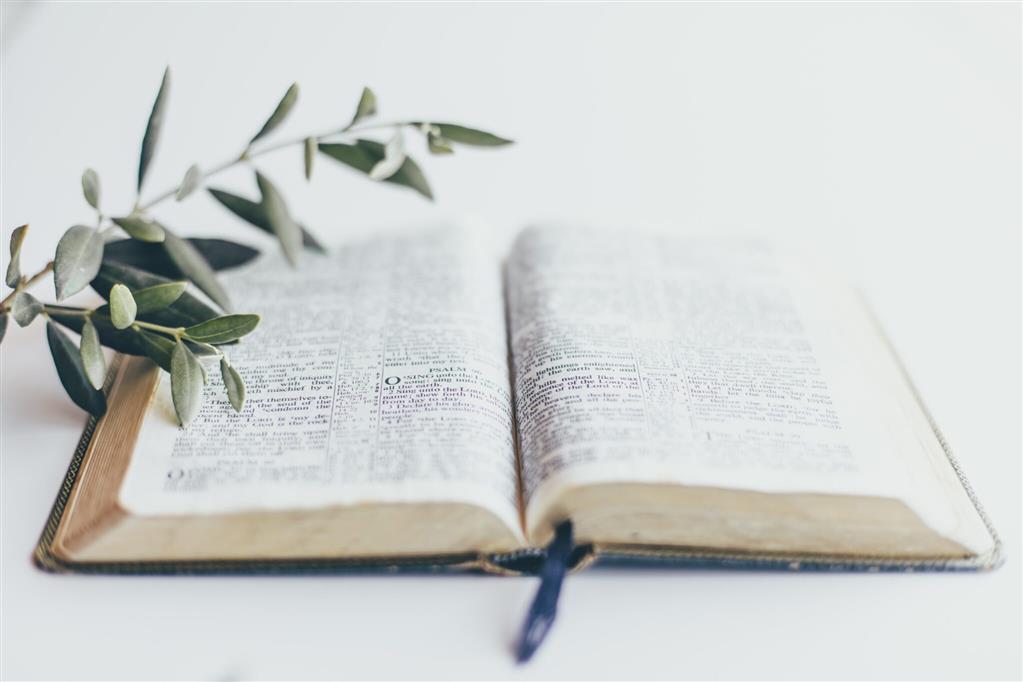 Making Disciples Who Disciple