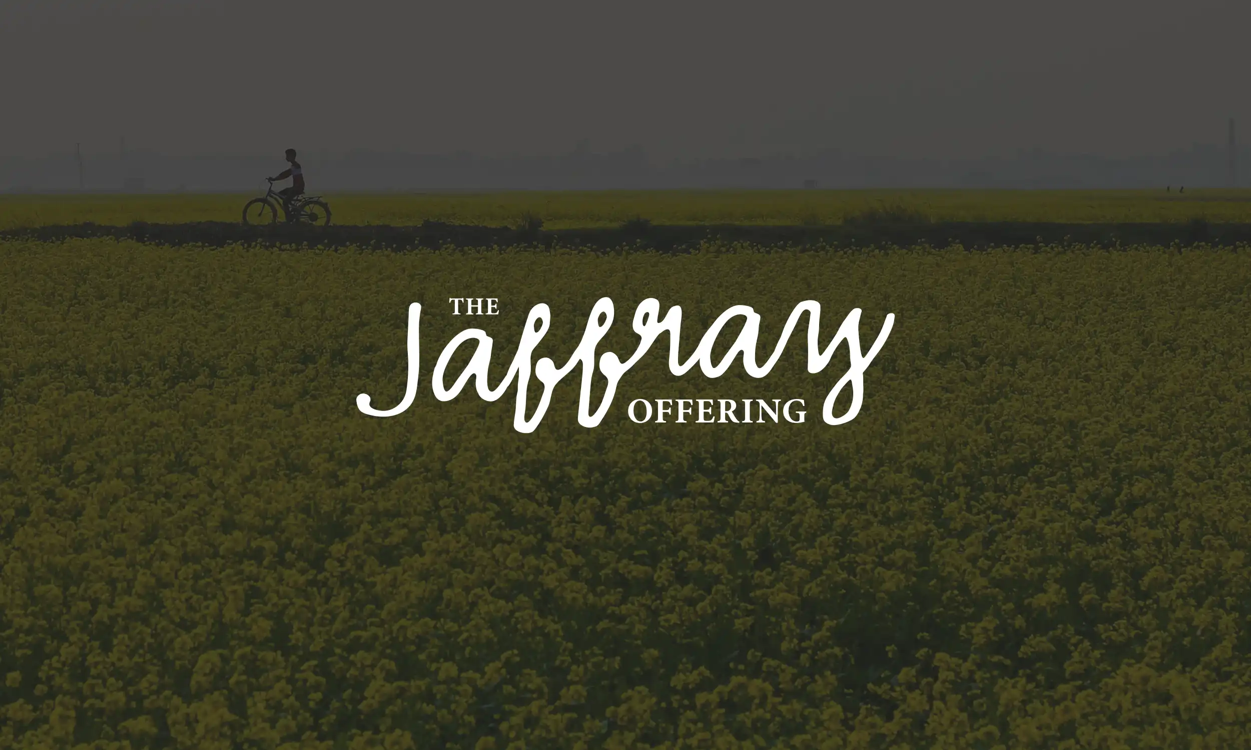 The Jaffray Offering Devotional | Week 2