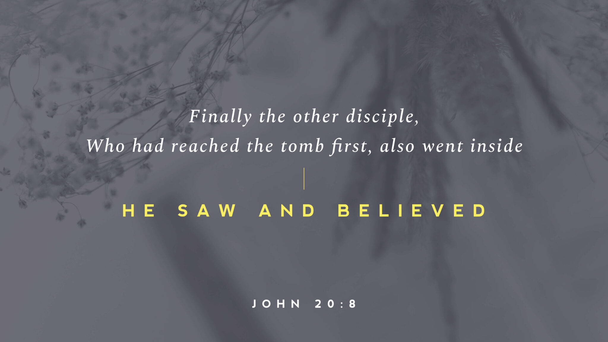 A picture of branches with words that read "Finally the other disciple, Who had reached the tomb fird, also went inside he saw and believed (John 20:8).