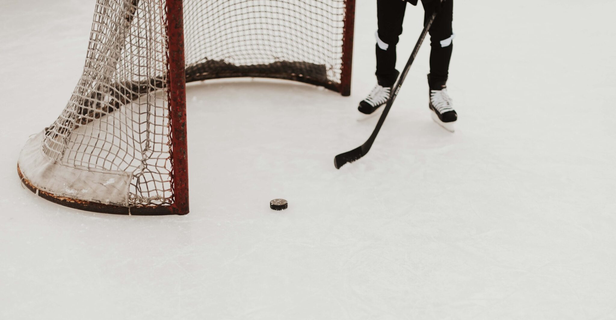 Hockey net and skater