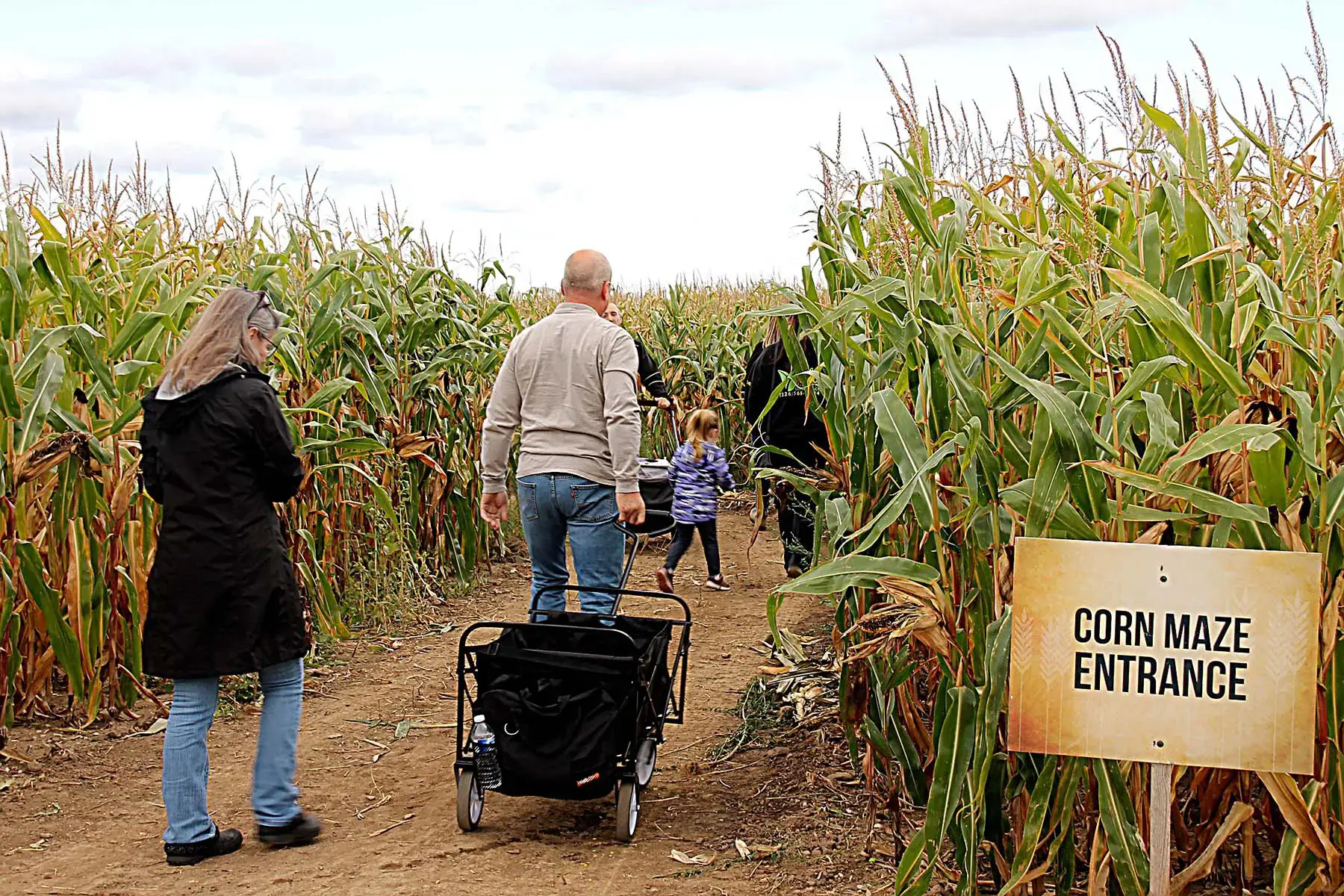 A group of people at Owen Sound Alliance Church entering a corn maze.