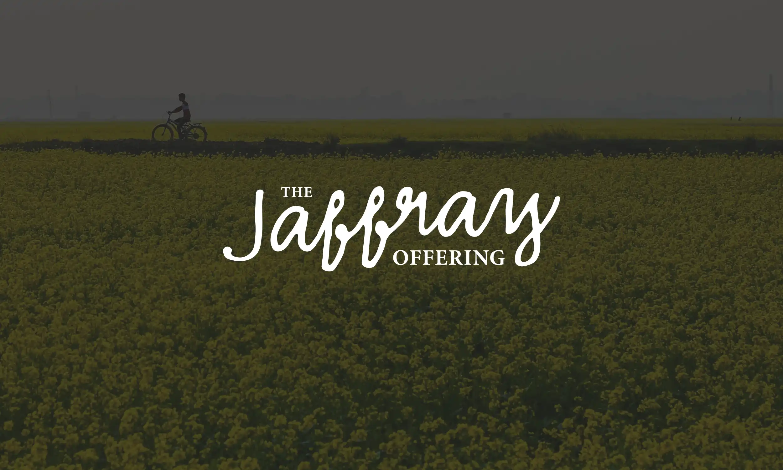Featured image for “The Jaffray Offering Devotional | Week 2”