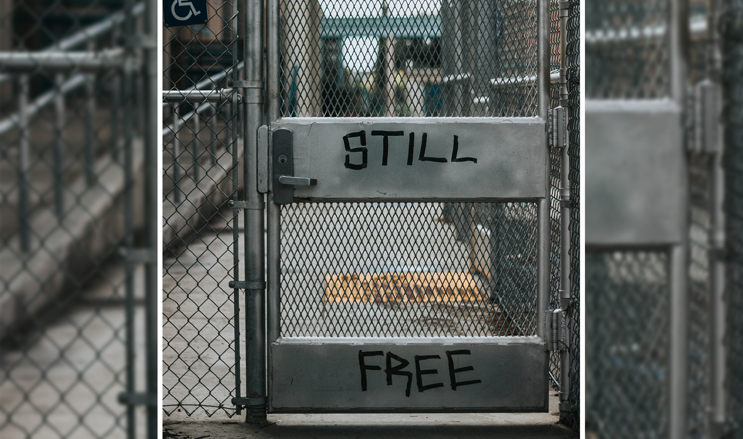A prison door with the words “Still Free“ written on them.